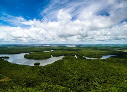 L'Amazzonia
