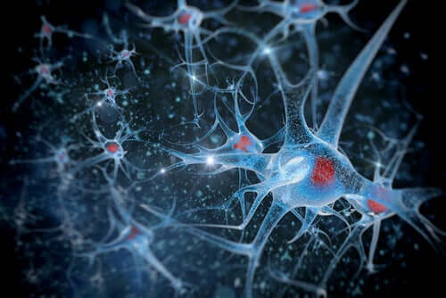 Connessioni tra neuroni cervello