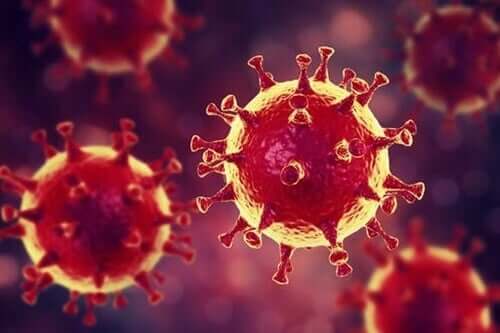Panico da Coronavirus: i “vaccini” psicologici