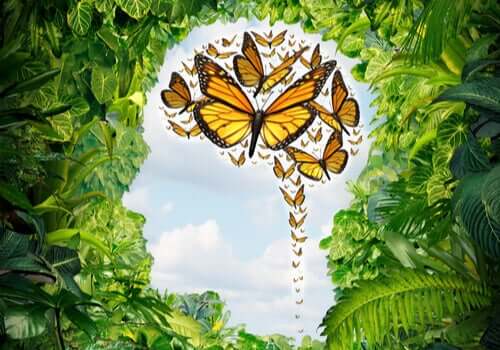 Farfalle dentro la mente