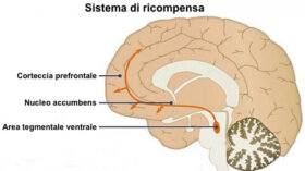 T TAKONE Sistema Ricompensa Vasino Per Bambini - 10 Poster E 280 Adesivi Riutilizzabili Con Dinosauri