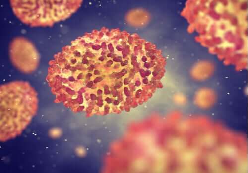Gruppo di Rotavirus, i virus possono controllare la nostra condotta
