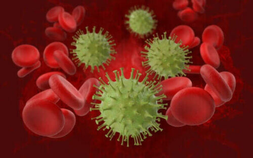 Coronavirus e globuli del sangue