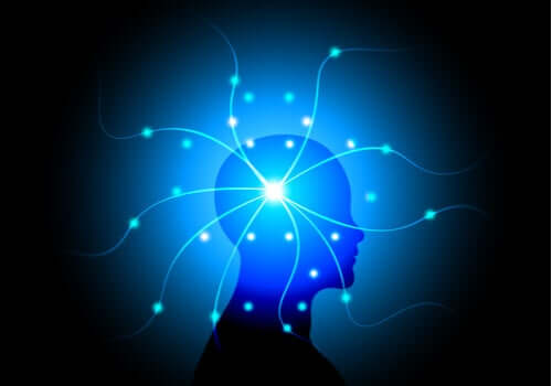 Connessioni neurali cervello umano