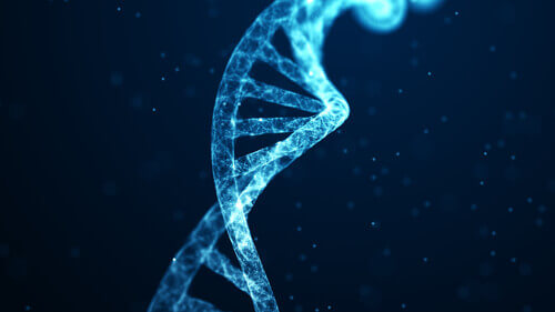 Sequenza di DNA