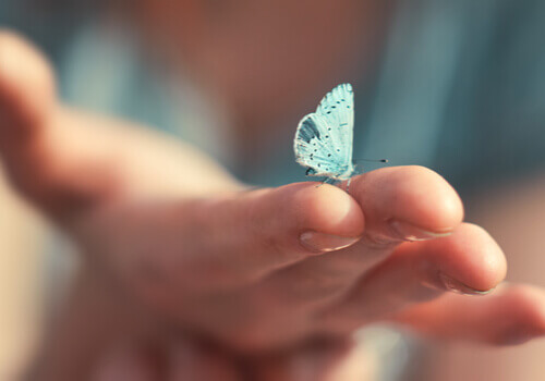 Mano con farfalla azzurra