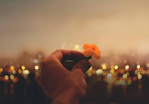Mano regge piccolo fiore arancione