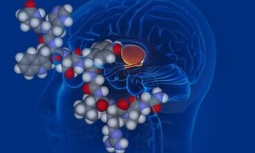 Vasopressina, l'ormone antidiuretico