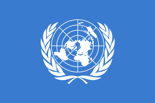 Bandiera delle Nazioni Unite