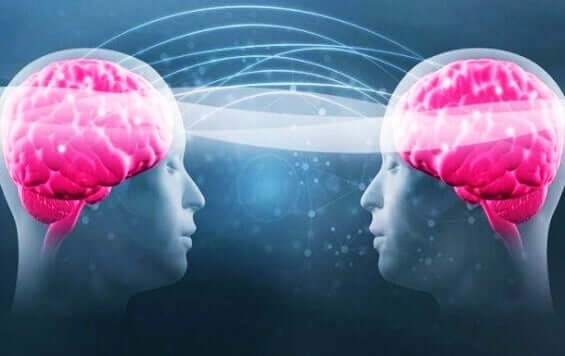 Connessione tra due cervelli
