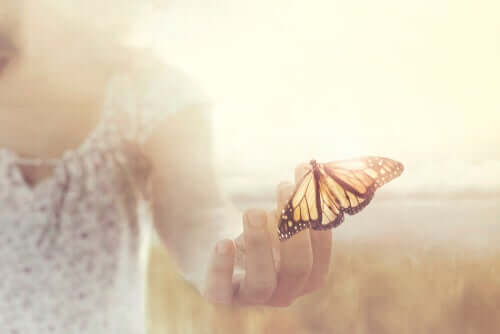 Farfalla sulla mano