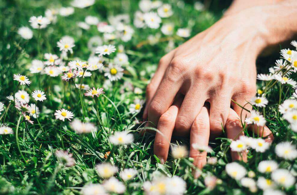 Mani intrecciate su prato fiorito