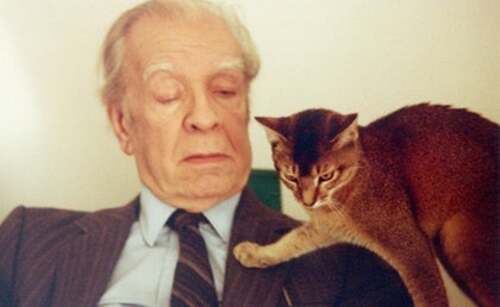 Luis Borges: biografia di uno studioso di lettere