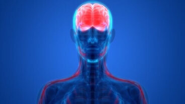 Psichiatria biologica: di cosa si occupa?