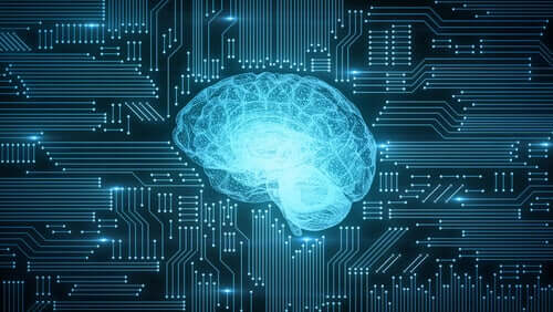 Effetti della digitalizzazione sul cervello