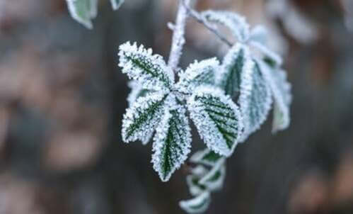 Convivere con una persona alessitimica