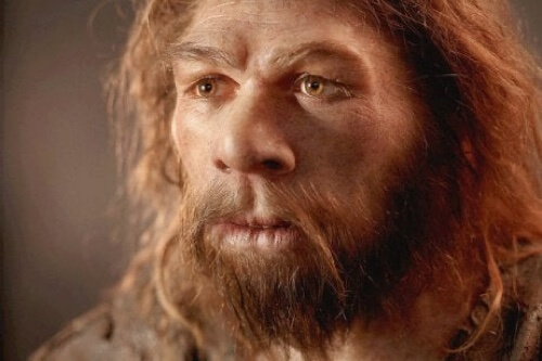Il cervello dei Neanderthal
