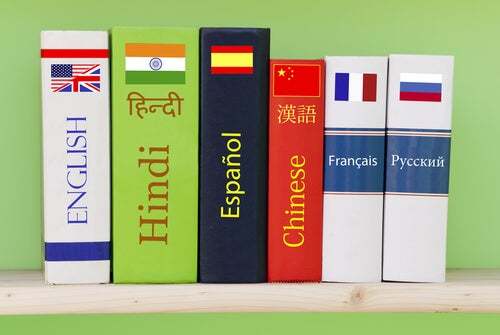 Vocabolari di lingue straniere.