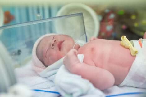 Bambino appena nato.