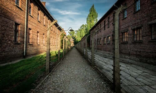 Strada con filo spinato nel campo di Auschwitz.