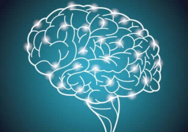 Il più grande esperimento di intelligenza mai realizzato