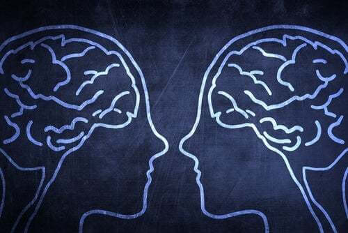Cervello sociale, perché è un vantaggio evolutivo?