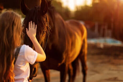 Bambina che accarezza un cavallo.