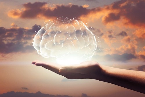 Rappresentazione ed del cervello in mano.