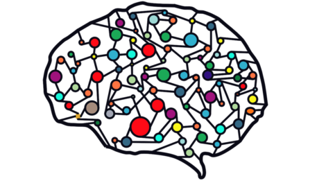 Euristica della disponibilità e connessioni nel cervello.