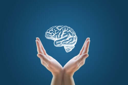 Mini cervelli creati in laboratorio: inizio della clonazione umana?