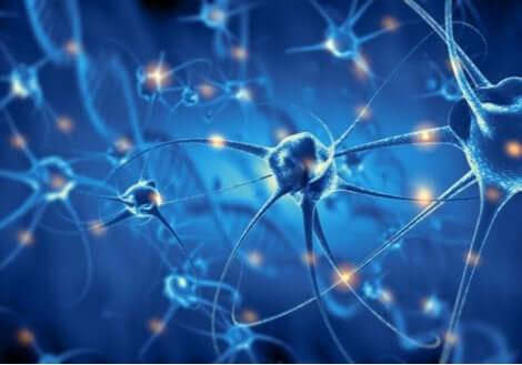 Neuroni nel cervello e connessioni sinaptiche.