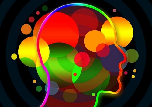 Competenze socio-emotive: quali sono?