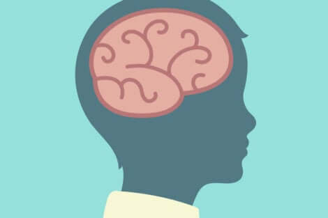 Disegno del cervello di un bambino di profilo.