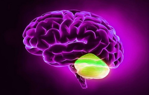 Cervelletto e pensiero divergente: che binomio!