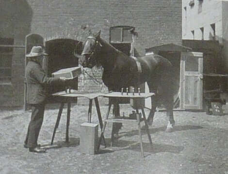 Clever Hans con il padrone.