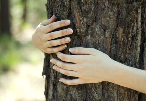 Donna che abbraccia un albero in nome dello ecofemminismo.