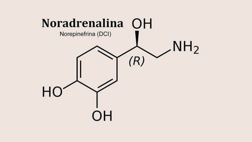 Formula chimica della noradrenalina.