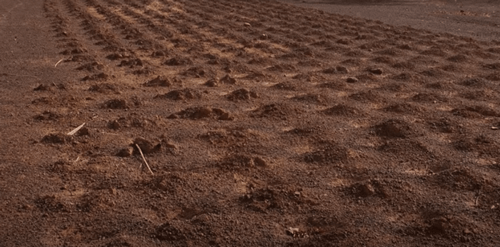 Terreno coltivabile e arato.