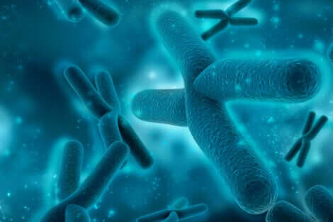 Le alterazioni genetiche sono una delle cause della pachigiria.