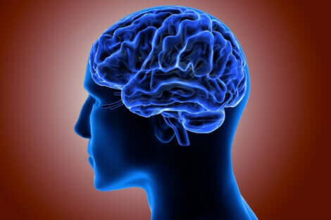 Disegno in 3D blu della testa e del cervello.