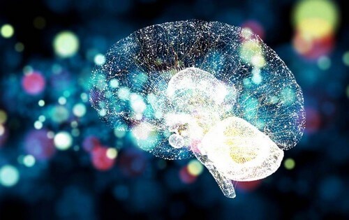 Gli ormoni dello stress.