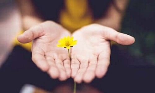 Frasi per cominciare una nuova fase della vita