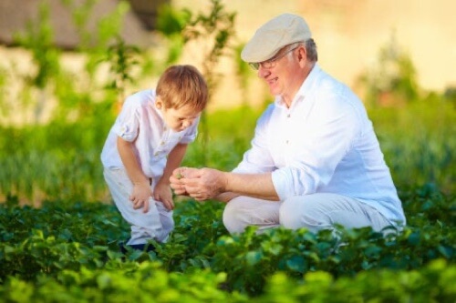 Nonno e nipote che coltivano l'orto.