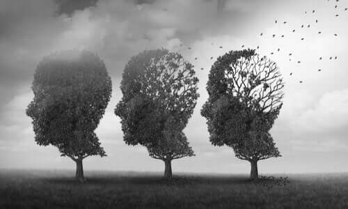 Alberi che hanno la forma della testa di una persona.