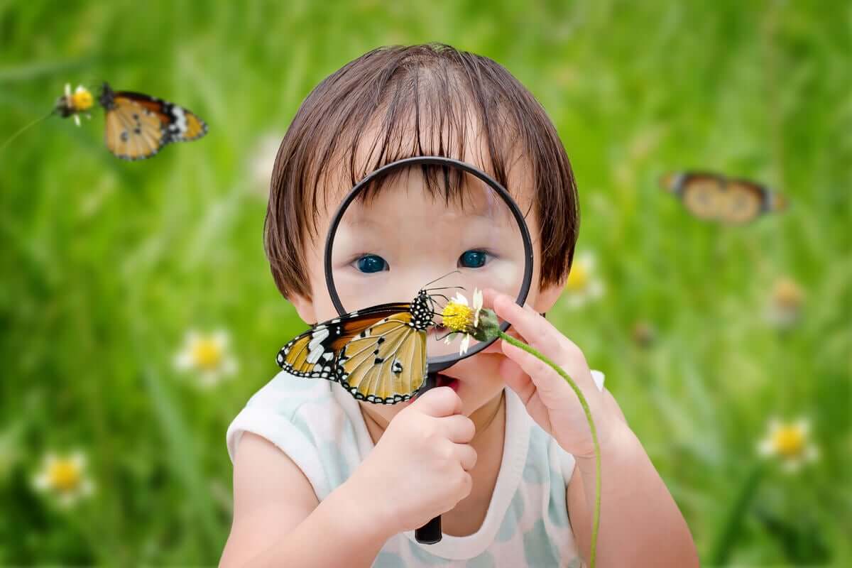 Bambino con lente di ingrandimento su una farfalla.