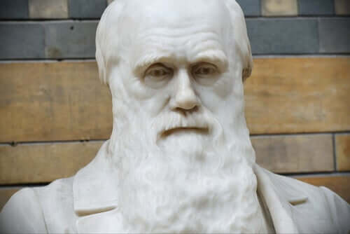 Citazioni di Charles Darwin