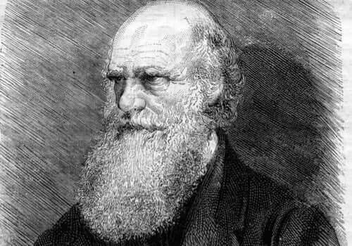 Ritratto di Charles Darwin.