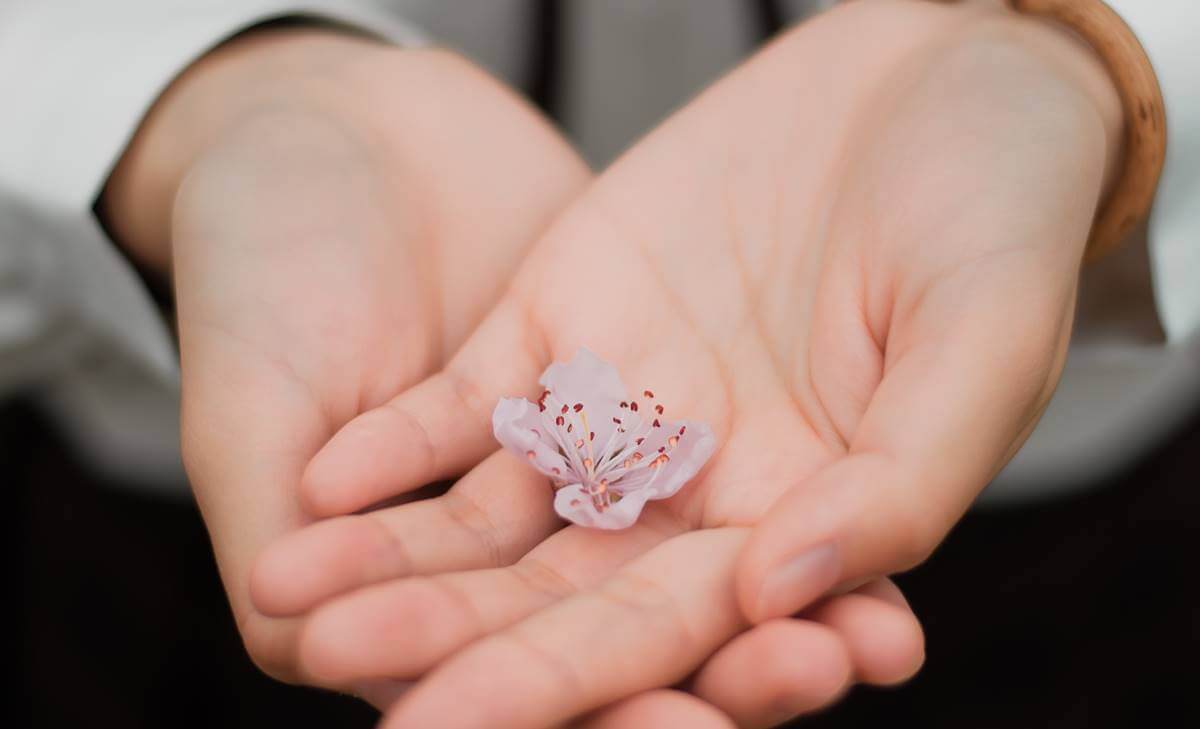 Mani che tengono un fiore.