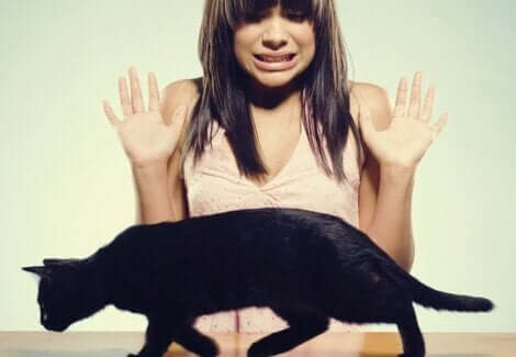 Ragazza che ha paura dei gatti.