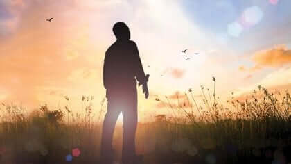 Uomo in controluce in un campo.